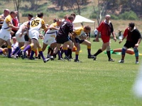 AM NA USA CA SanDiego 2005MAY18 GO v ColoradoOlPokes 184 : 2005, 2005 San Diego Golden Oldies, Americas, California, Colorado Ol Pokes, Date, Golden Oldies Rugby Union, May, Month, North America, Places, Rugby Union, San Diego, Sports, Teams, USA, Year